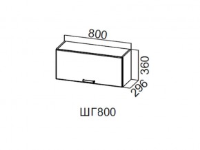 ШГ800/360 Шкаф навесной 800/360 (горизонт.) в Снежинске - snezhinsk.магазин96.com | фото