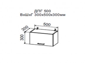 Шкаф верхний ДПГ500 горизонтальный в Снежинске - snezhinsk.магазин96.com | фото
