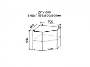 Шкаф верхний ДПУ600 угловой в Снежинске - snezhinsk.магазин96.com | фото
